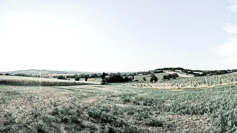 Panorama einer weiten Hügellandschaft mit Feldern, Baumgruppen und einzelnen Gehöften unter hellem, fast weißem Himmel.