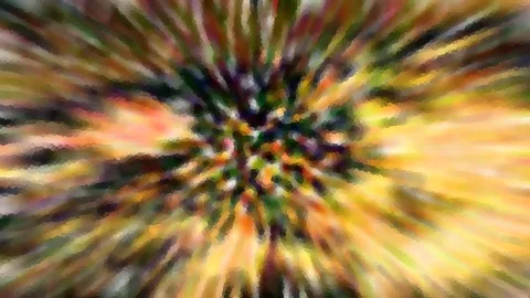 Abstrakte Komposition aus radial von einem dunkelgrünen Zentrum ausstrahlenden Streifen in Gelb, Orange, Rot und Grün, unscharf und blockartig verpixelt.