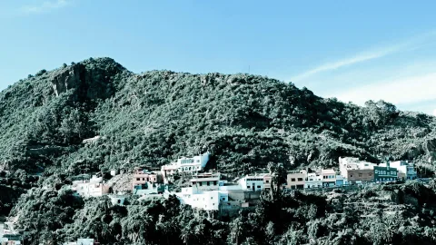 Weiß und farbig bebaute Häuser an einem dicht bewachsenen Berghang unter blauem Himmel, davor Palmen.