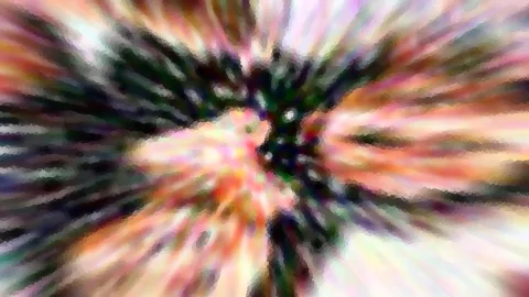 Abstrakte Komposition mit radial von der Mitte ausstrahlenden Streifen in Rosa, Orange und Weiß, durchzogen von dunklen Grün- und Schwarztönen.