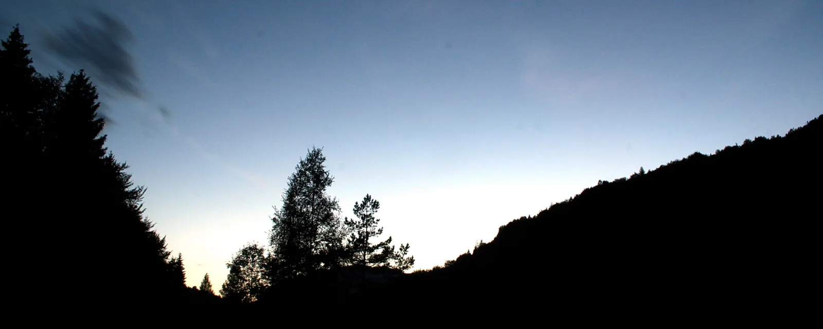 Dunkle Nadelbäume und ein Hügelkamm als Silhouetten vor einem blauen Abendhimmel, nahe dem Horizont heller.