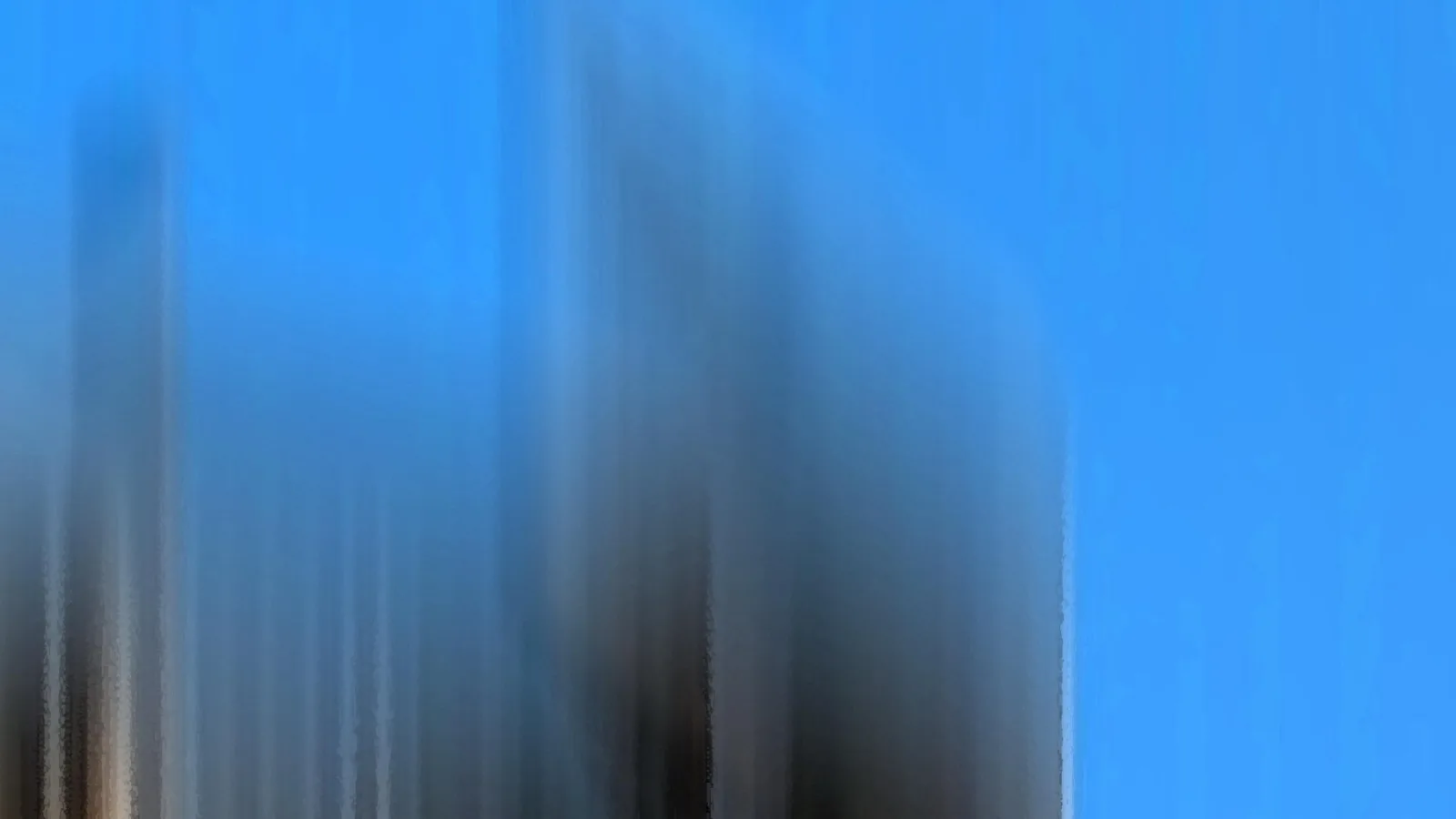 Dunkle, vertikal verwischte Formen vor einem klaren blauen Himmel, links unten und in der Mitte dichter, rechts ist der Himmel frei.