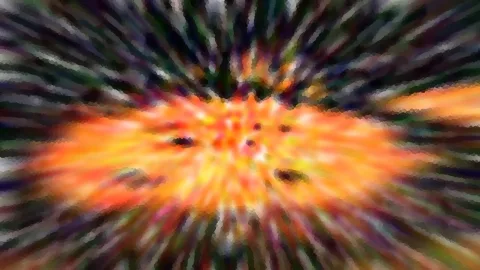 Abstrakte Komposition mit radialer Unschärfe, orange und gelbe Farbtöne im Zentrum, dunkle Streifen zum Rand hin.