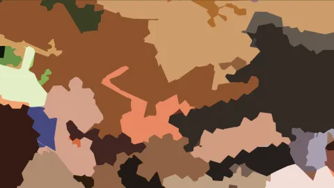 Abstraktes Muster aus unregelmäßigen, flächigen Formen in Braun, Orange, Schwarz, Blau und Hellgrün.