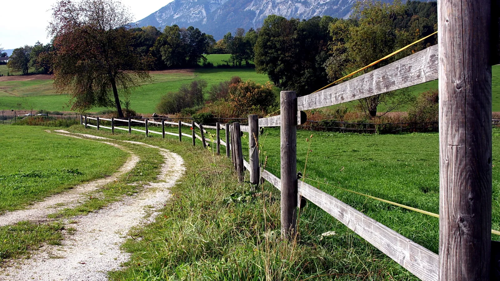 Grauer Holzzaun mit Pfosten entlang eines geschwungenen Kiesweges durch eine grüne Weide, dahinter Laubbäume und ein Berghang