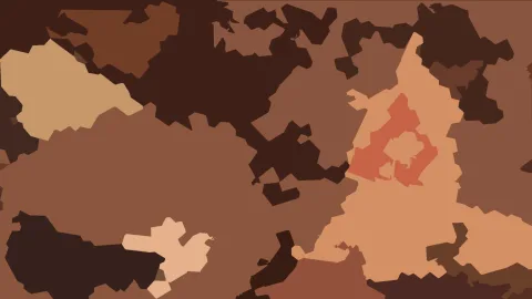 Abstraktes Muster aus unregelmäßigen braunen, beigen und orangefarbenen Flächen, die dicht ineinandergreifen.