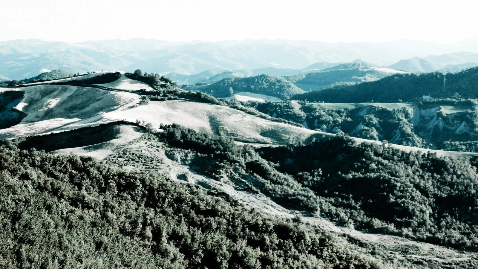 Weite Hügellandschaft mit kahlen, hellen Graten und dichten Waldflächen, im Hintergrund blaue Bergketten unter hellem Dunst.