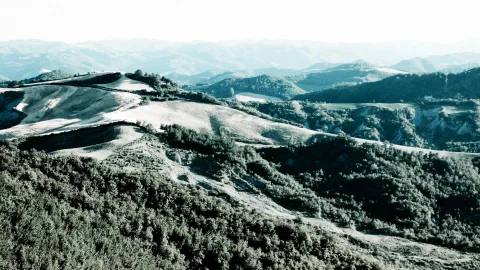Weite Hügellandschaft mit kahlen, hellen Graten und dichten Waldflächen, im Hintergrund blaue Bergketten unter hellem Dunst.