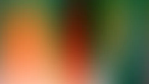 Weich verlaufende Farbflächen in Orange, Rot, Dunkelgrün und Türkis, die ineinander übergehen.
