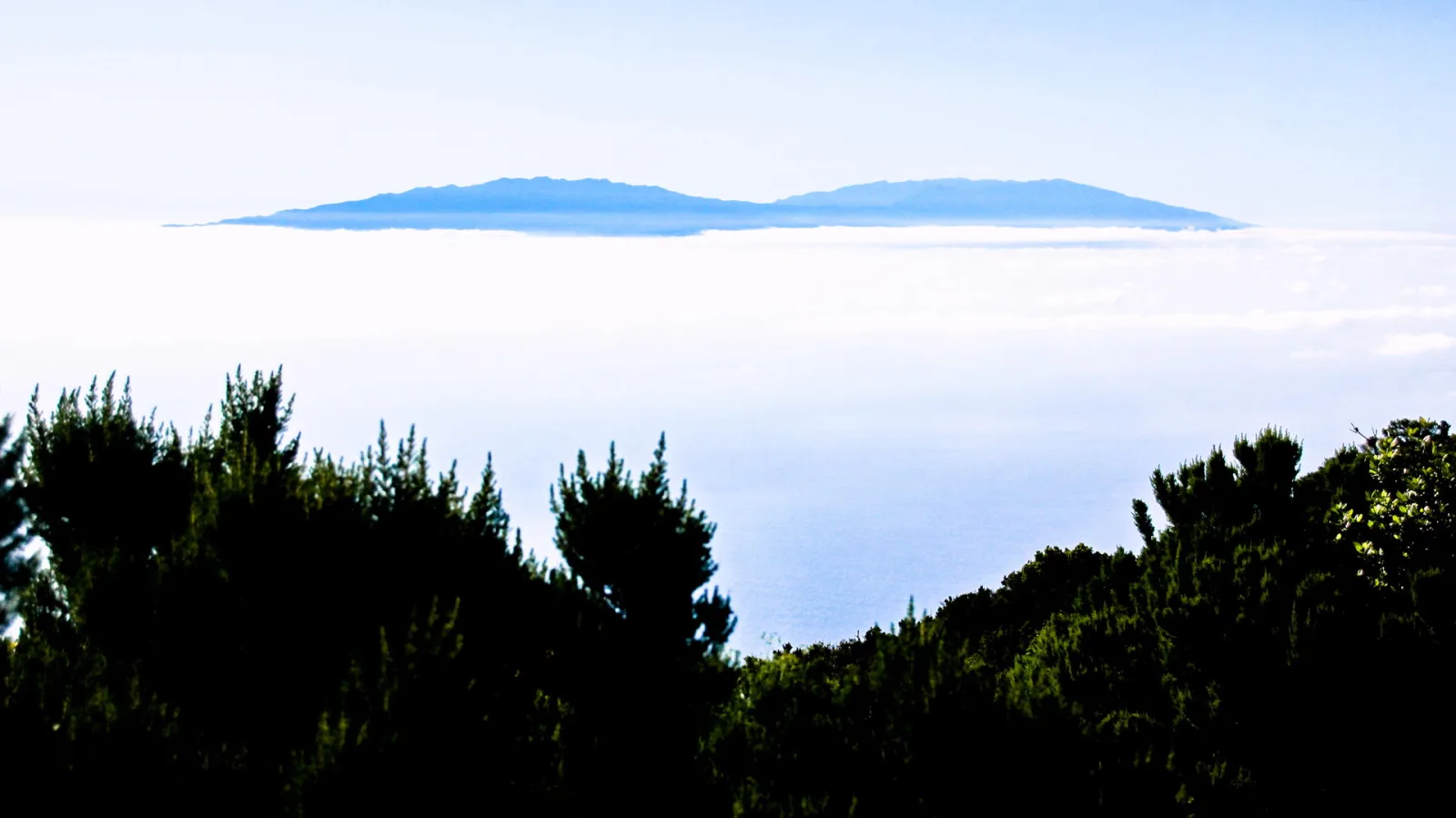 Blaue Bergkette ragt aus einem weißen Wolkenmeer, davor dunkle Sträucher im Vordergrund.