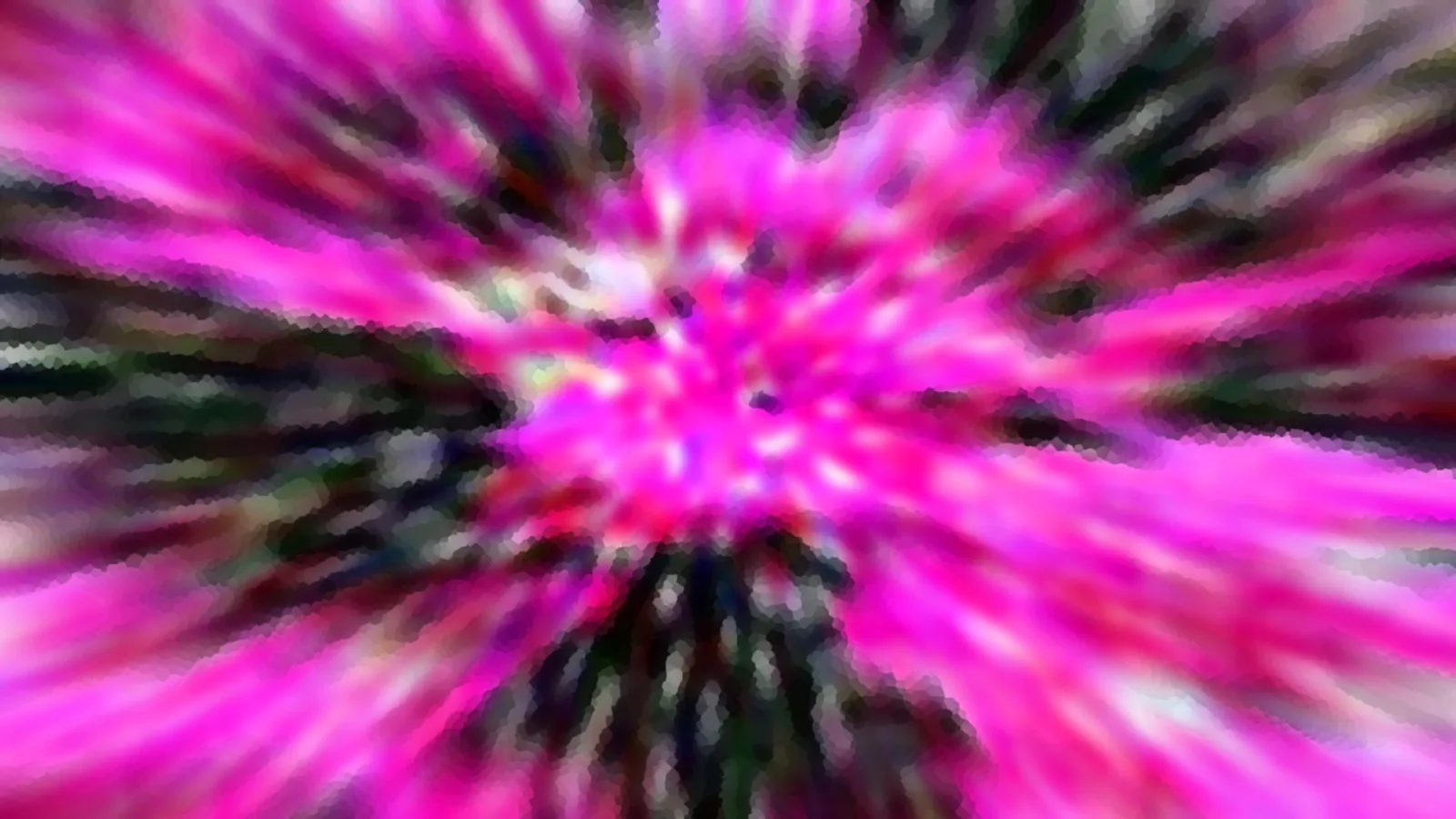 Abstraktes Muster aus magentafarbenen und dunkelgrünen Streifen, die von einer hellen Mitte radial nach außen laufen, verschwommen und leicht pixelig.