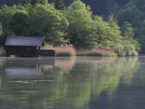 Dunkles Holzbootshaus mit Schindeldach und Steg am Seeufer, davor Schilf und dichter grüner Laubwald, der sich im ruhigen Wasser spiegelt.