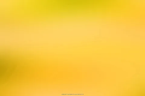 Verschwommener Farbverlauf in Gelb und Orange, oben heller Gelbton, unten wärmeres Goldorange.
