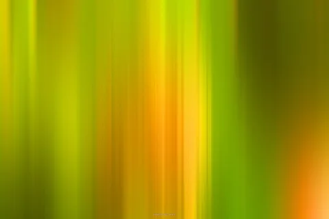 Abstrakte vertikale Streifen in Grün, Gelb und Orange, die wie eine Bewegungsunschärfe wirken, rechts unten ein orangefarbener Lichtfleck.