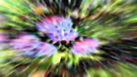 Abstrakte Komposition mit einer violetten und rosa Blüte im Zentrum, umgeben von grünen und dunklen radialen Schlieren