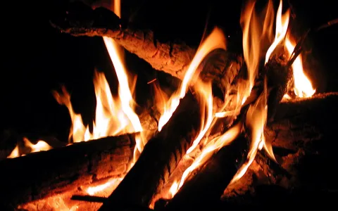 Brennende Holzscheite eines Lagerfeuers vor schwarzem Hintergrund, Flammen schlagen nach oben.