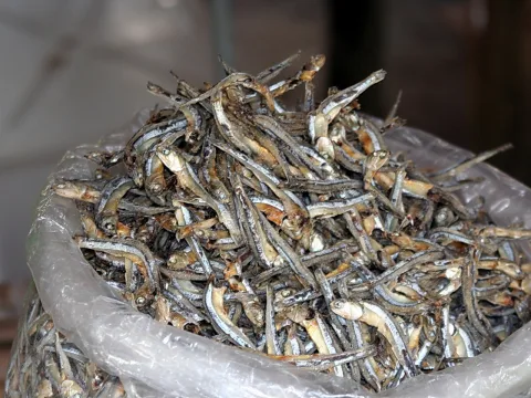 Ein großer Haufen getrockneter kleiner Fische in einem durchsichtigen Plastiksack, aufgenommen auf einem Markt.