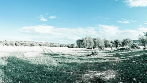 Weite Wiesenlandschaft mit einzelnem Baum, Feldweg und Büschen unter blauem Himmel mit Wolken
