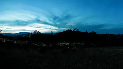 Dunkle Hügelkette mit Baum- und Strauchsilhouetten unter blau gefärbten Schleierwolken, davor eine dunkle Wiese mit hellen Blüten.