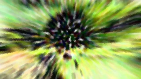 Abstrakte radiale Unschärfe mit grünen und gelben Streifen, die von einem dunklen Mittelpunkt ausgehen.