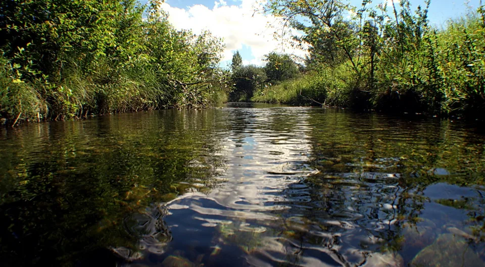 Flacher Bach im Sommer, gesäumt von Schilf und Büschen, auf dessen Wasseroberfläche sich Wolken spiegeln.