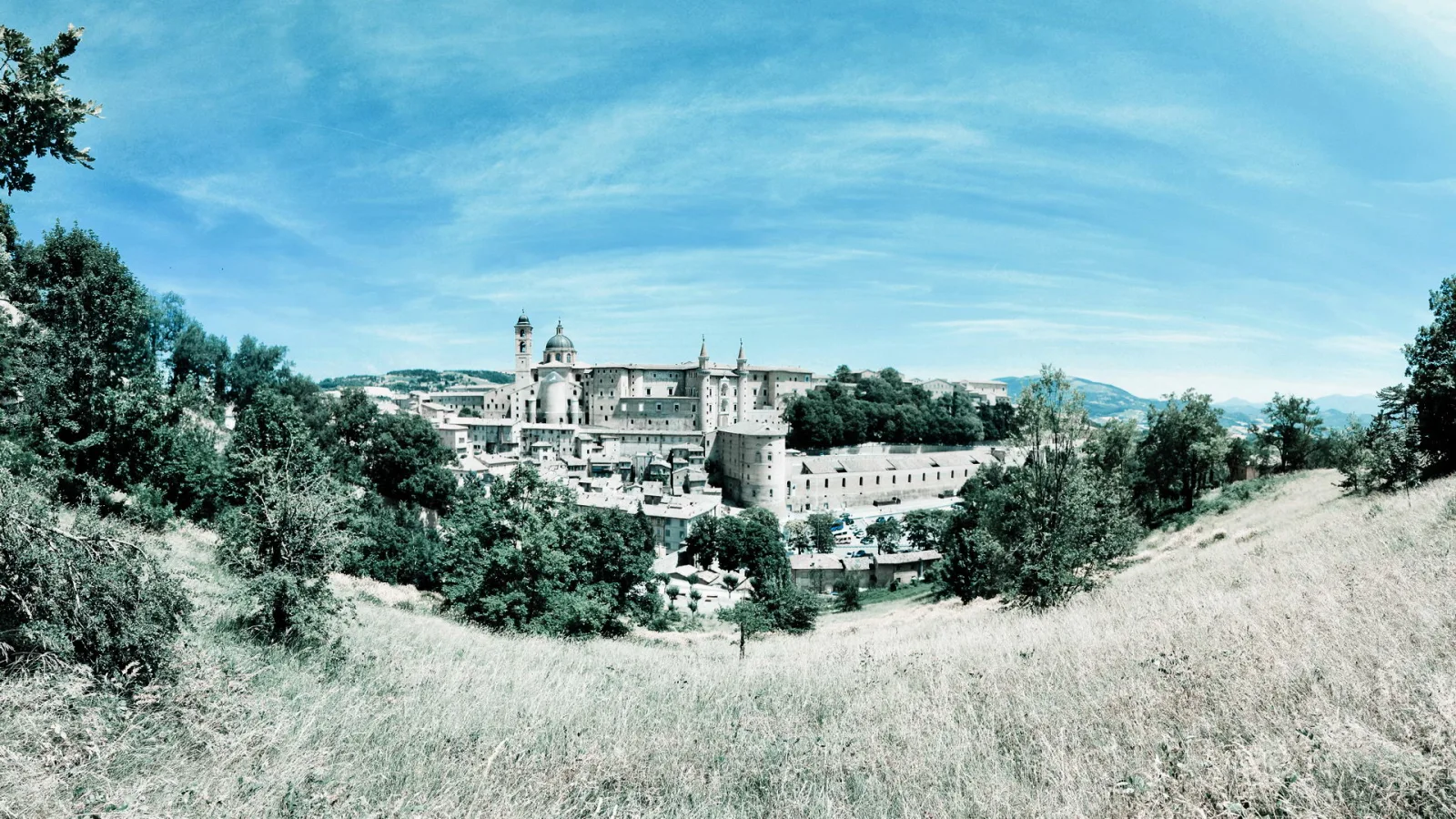 Panoramablick auf den Palazzo Ducale in Urbino, umgeben von Bäumen und trockenem Grasland unter blauem Himmel mit Schleierwolken.