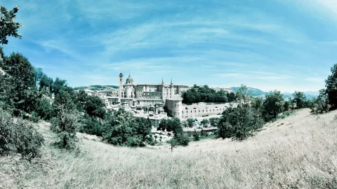 Panoramablick auf den Palazzo Ducale in Urbino, umgeben von Bäumen und trockenem Grasland unter blauem Himmel mit Schleierwolken.