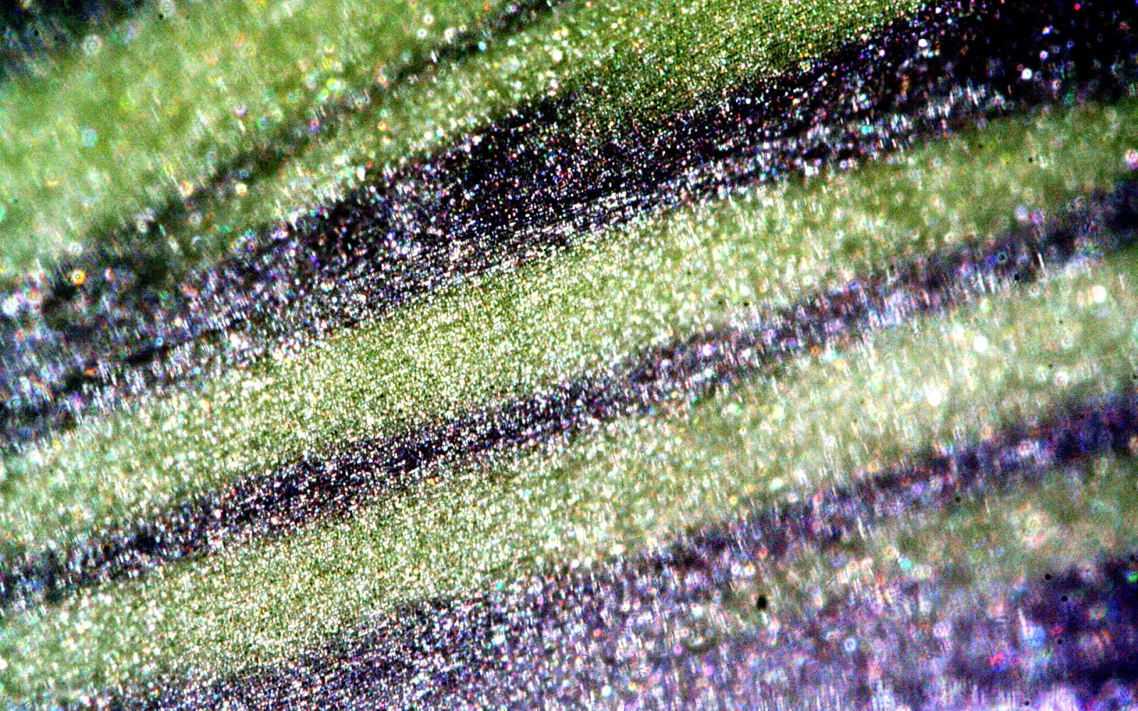 Nahaufnahme einer Oberfläche mit schrägen grünen und violetten Streifen, übersät mit glitzernden, irisierenden Punkten.