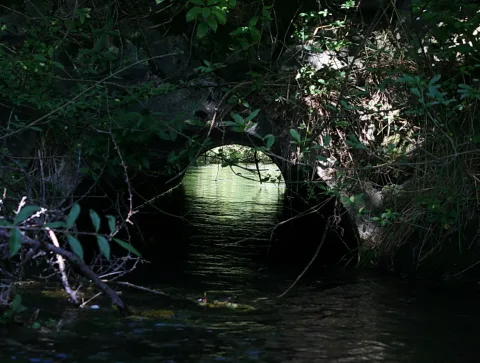 Ein dunkler runder Durchlass unter einer Brücke, durch den helles Licht auf einen grünen Bachlauf fällt, umgeben von dichtem Laub.