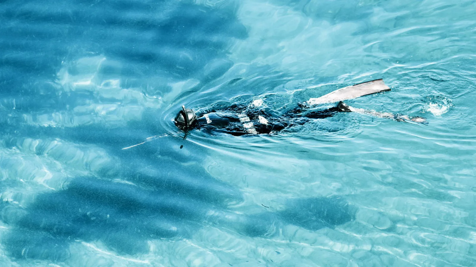 Ein Schnorchler mit Flossen und Taucherbrille schwimmt knapp unter der Wasseroberfläche, hinter ihm zieht sich eine Harpunenleine durch das klare, türkisblaue Wasser.