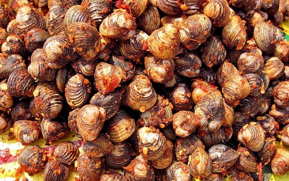 Dicht gedrängter Haufen brauner Muscheln, überzogen mit rötlich-orangefarbenen Gewürzkrumen, auf gelbgrünem Untergrund.