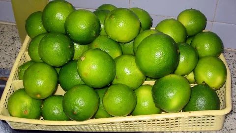 Viele grüne Limetten liegen dicht gedrängt in einem gelben Plastikkorb auf einer grau marmorierten Arbeitsfläche, daneben links oben ein Stück einer hellen Flasche.