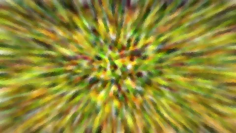 Abstrakte Aufnahme mit radialer Unschärfe, von der Mitte nach außen strahlende grüne, gelbe und braune Streifen