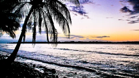 Silhouette einer schräg stehenden Palme am felsigen Strand, im Vordergrund Wellen, dahinter Meer und ein Horizont in Violett und Orange bei Sonnenuntergang.