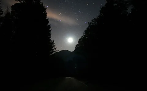 Nächtliche Waldstraße unter einem Sternenhimmel mit hellem Mond