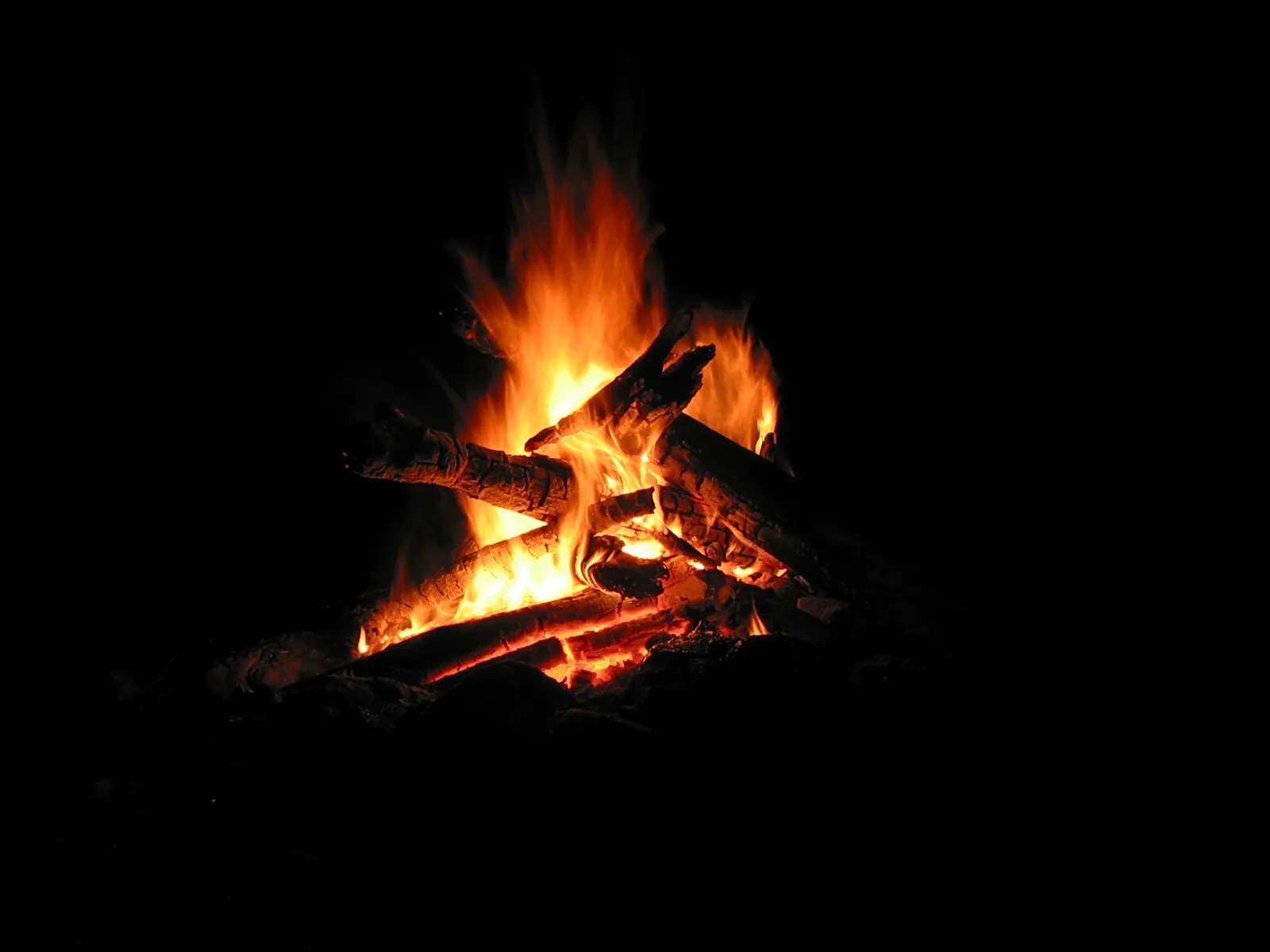 Lagerfeuer mit brennenden Holzscheiten und hochschlagenden Flammen vor schwarzem Hintergrund