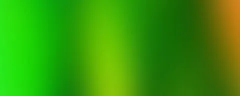 Weicher Farbverlauf von giftgrün links über gelbgrüne Mitte bis zu dunklem Grün und einem orangefarbenen Streifen am rechten Rand.