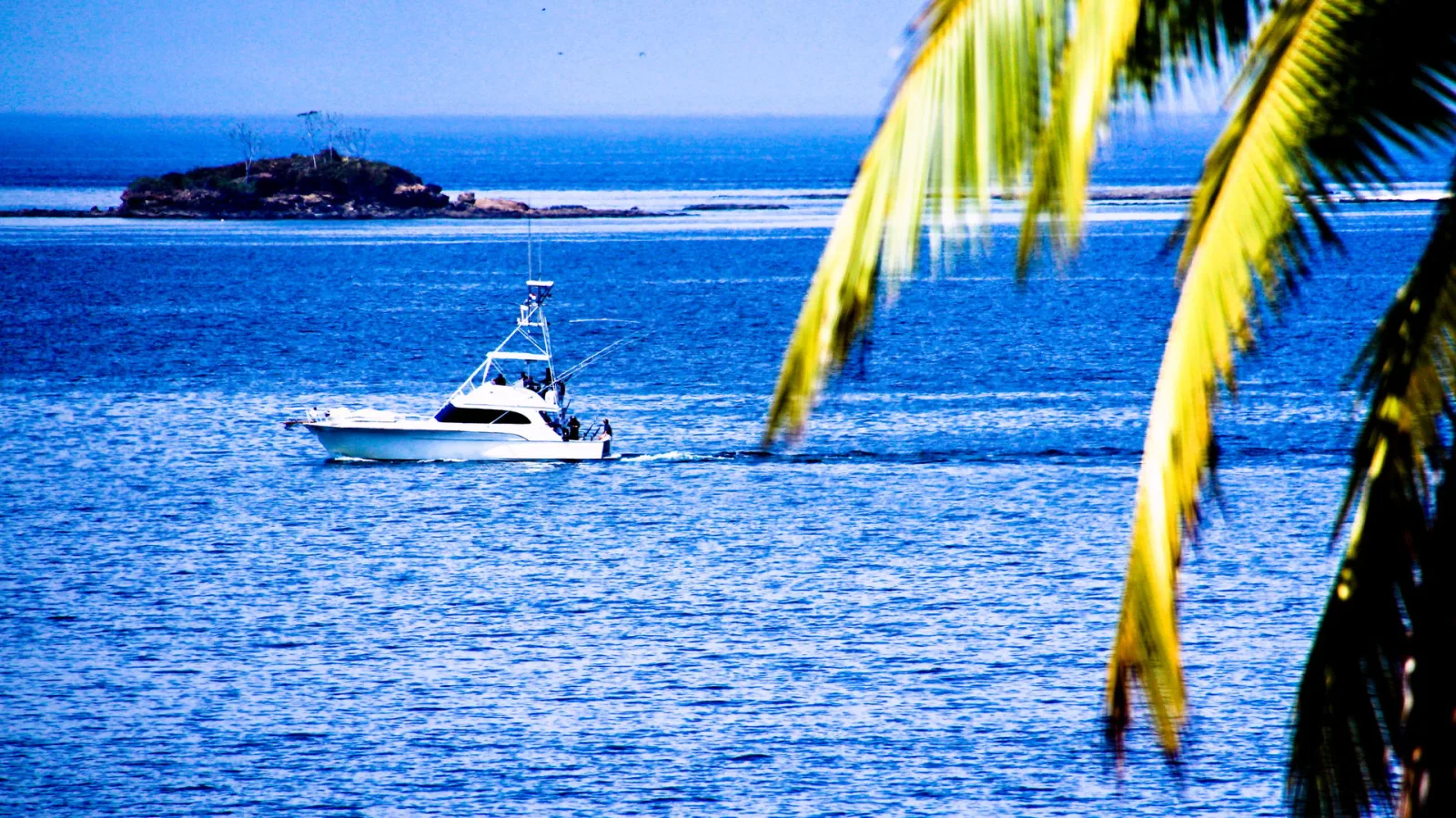Weißes Angelboot fährt über blaues Meer auf eine bewaldete Insel zu, im Vordergrund ragen gelbgrüne Palmwedel ins Bild.