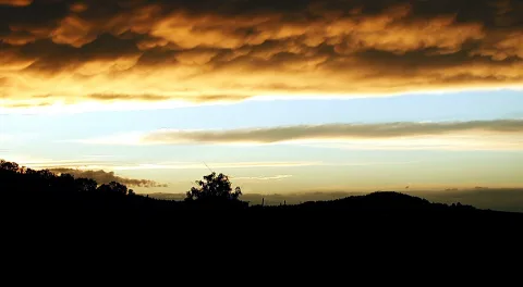 Dunkle Silhouette von Hügeln und einzelnen Bäumen unter einem Himmel mit goldgelb beleuchteten Wolkenbänken am Abend.