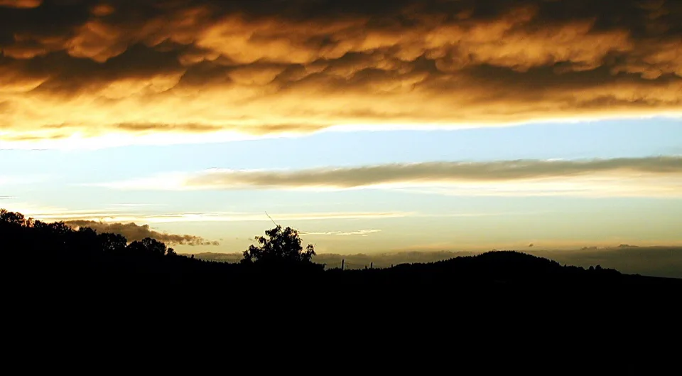 Dunkle Silhouette von Hügeln und einzelnen Bäumen unter einem Himmel mit goldgelb beleuchteten Wolkenbänken am Abend.