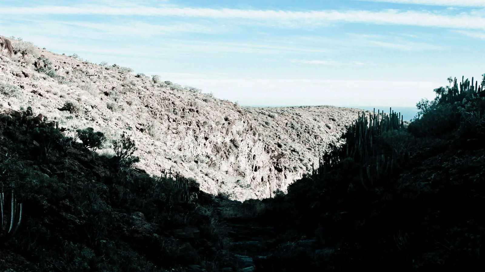 Felsige Schlucht mit Kakteen und Sträuchern, dahinter blauer Himmel und ein Streifen Meer am Horizont.