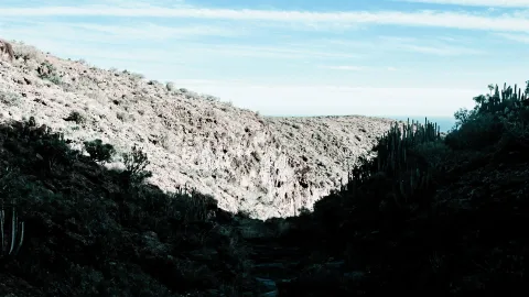 Felsige Schlucht mit Kakteen und Sträuchern, dahinter blauer Himmel und ein Streifen Meer am Horizont.