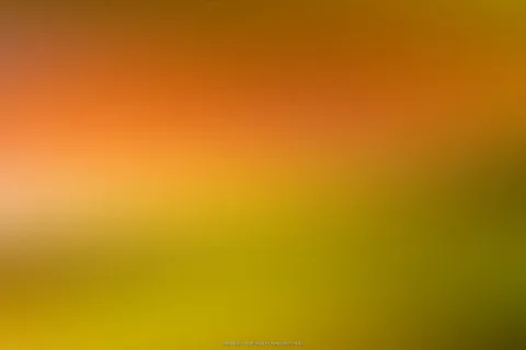 Unscharfer Verlauf von Orange im oberen Bereich über Gelb bis zu Olivgrün unten rechts, ohne erkennbare Motive.