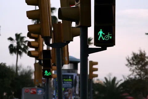 Mehrere Ampeln an einer Straße, die rechte zeigt ein grünes Fußgänger- und Fahrradsymbol vor Palmen und dämmrigem Himmel.