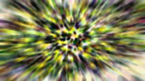 Abstrakte, radial verwischte Farbstrahlen in Grün, Gelb und Schwarz, die vom Zentrum nach außen laufen.
