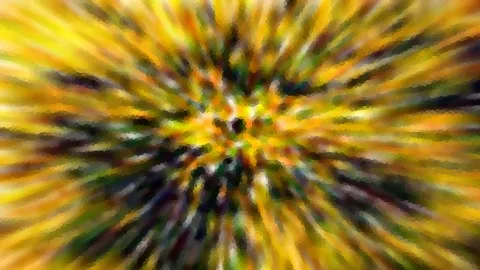 Abstrakte Komposition aus gelben, orangefarbenen und grünen Streifen, die von einem zentralen Punkt radial nach außen laufen und stark verwischt sind.