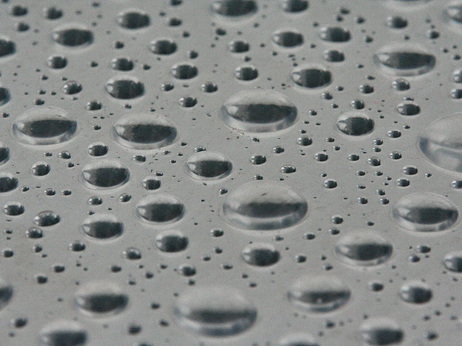 Viele Wassertropfen unterschiedlicher Größe verteilen sich auf einer grauen, glatten Oberfläche und spiegeln das Licht.