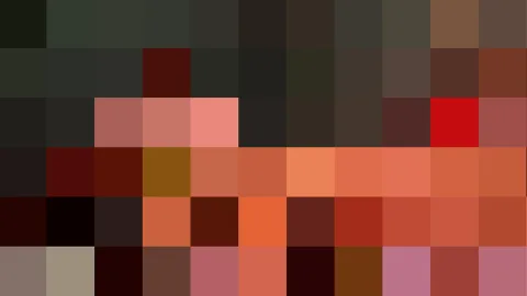 Pixelmosaik aus dunklen Grün- und Brauntönen oben und warmen Rot- und Orangetönen unten.