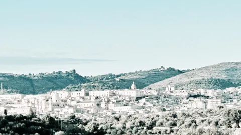 Panoramablick auf die helle Kleinstadt Noto auf einem Hügel, im Vordergrund Olivenbäume, dahinter bewaldete Hügel und klarer, blassblauer Himmel.