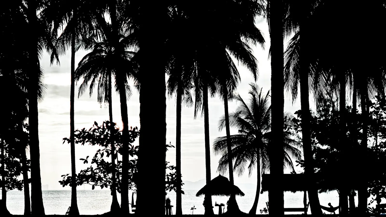 Schwarzweiß-Aufnahme dunkler Palmenstämme und Palmwedel vor hellem Himmel und Meer, darunter eine strohgedeckte Hütte am Strand.